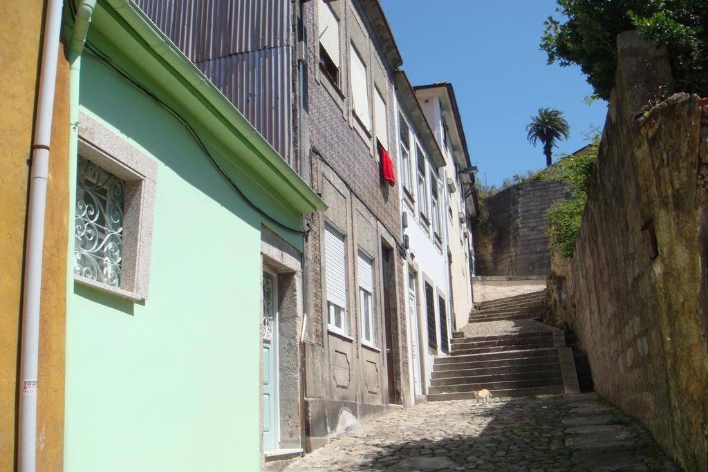 Green House Porto Zimmer foto